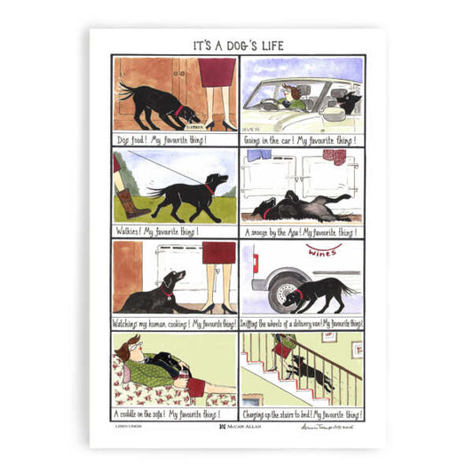 It's a Dog's Life